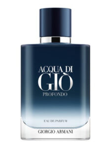 Giorgio Armani Acqua di gio eau de toilette pour homme 100ml