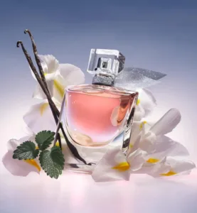 Lancom, LancÃ´me La Vie Est Belle Eau de Perfume 100ml