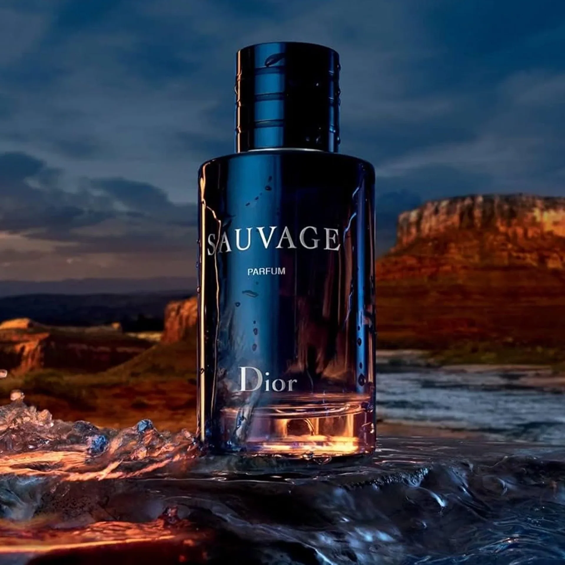 DIOR SAUVAGE Eau De perfume 100ml - Image 3